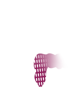 Salofalk Suppositorier